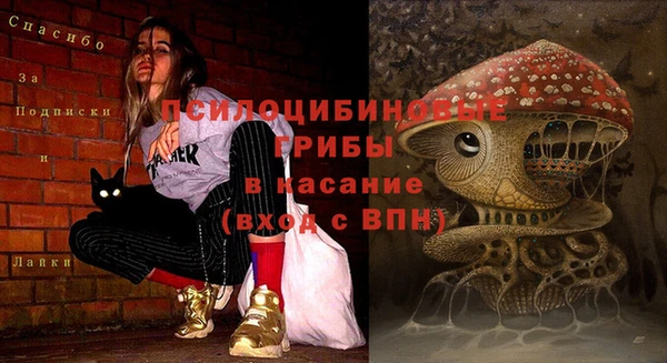круглые Белокуриха