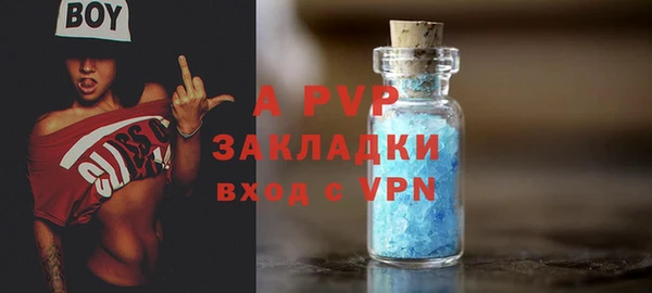 прущие крисы Балахна
