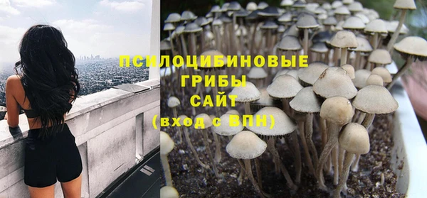 прущие крисы Балахна