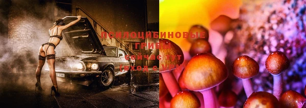 прущие крисы Балахна