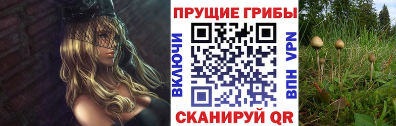Псилоцибиновые грибы ЛСД  Минеральные Воды 