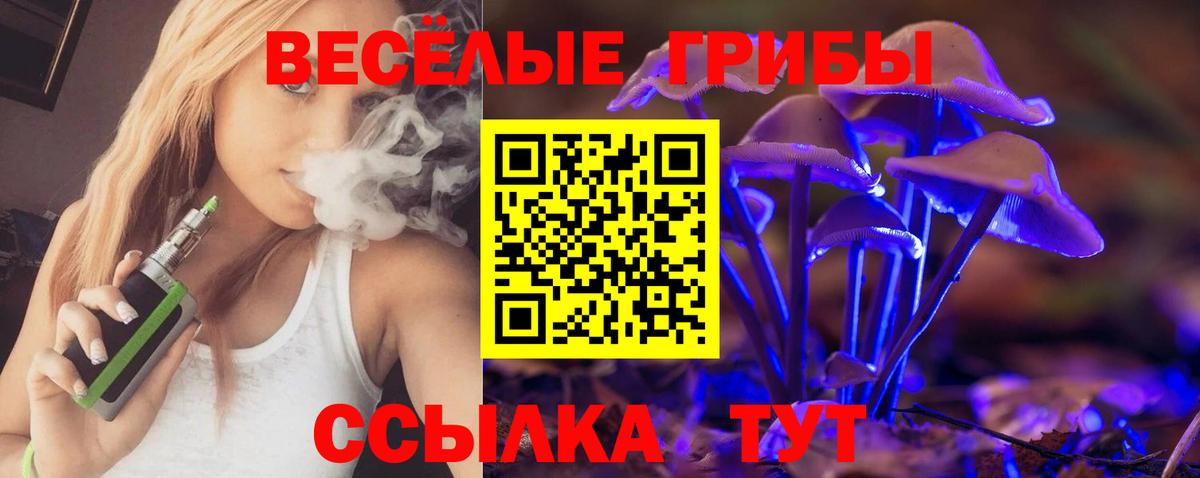 Псилоцибиновые грибы Psilocybe  Вход с VPN  хочу наркоту  Минеральные Воды 