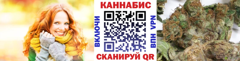 где можно купить наркотик  Минеральные Воды  Марихуана сатива 